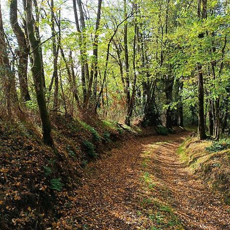 T3 Perigord Vert Cap nature Champniers-et-Reilhac Exterior foto
