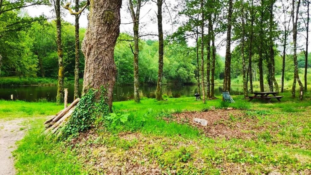 T3 Perigord Vert Cap nature Champniers-et-Reilhac Exterior foto