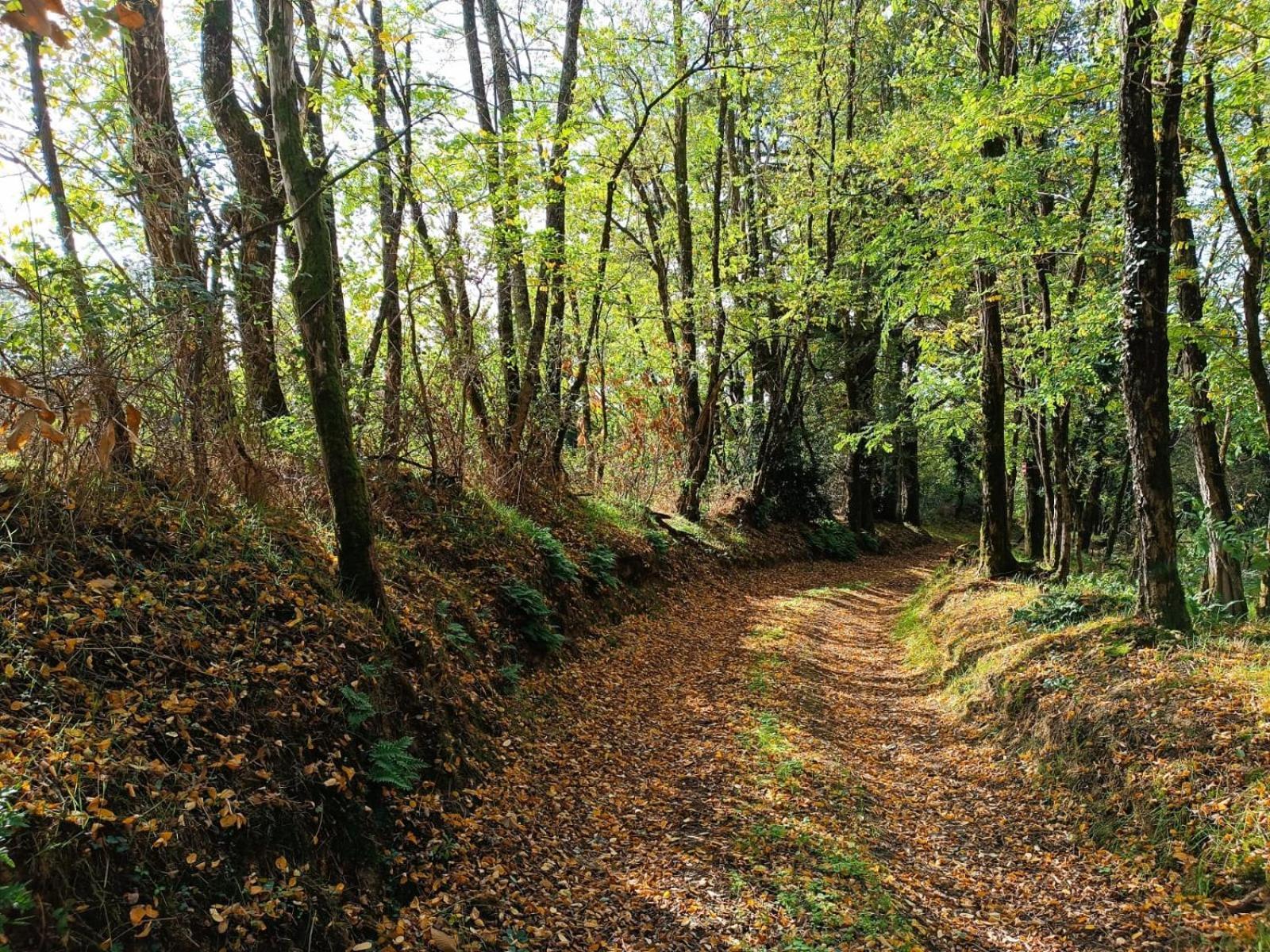 T3 Perigord Vert Cap nature Champniers-et-Reilhac Exterior foto