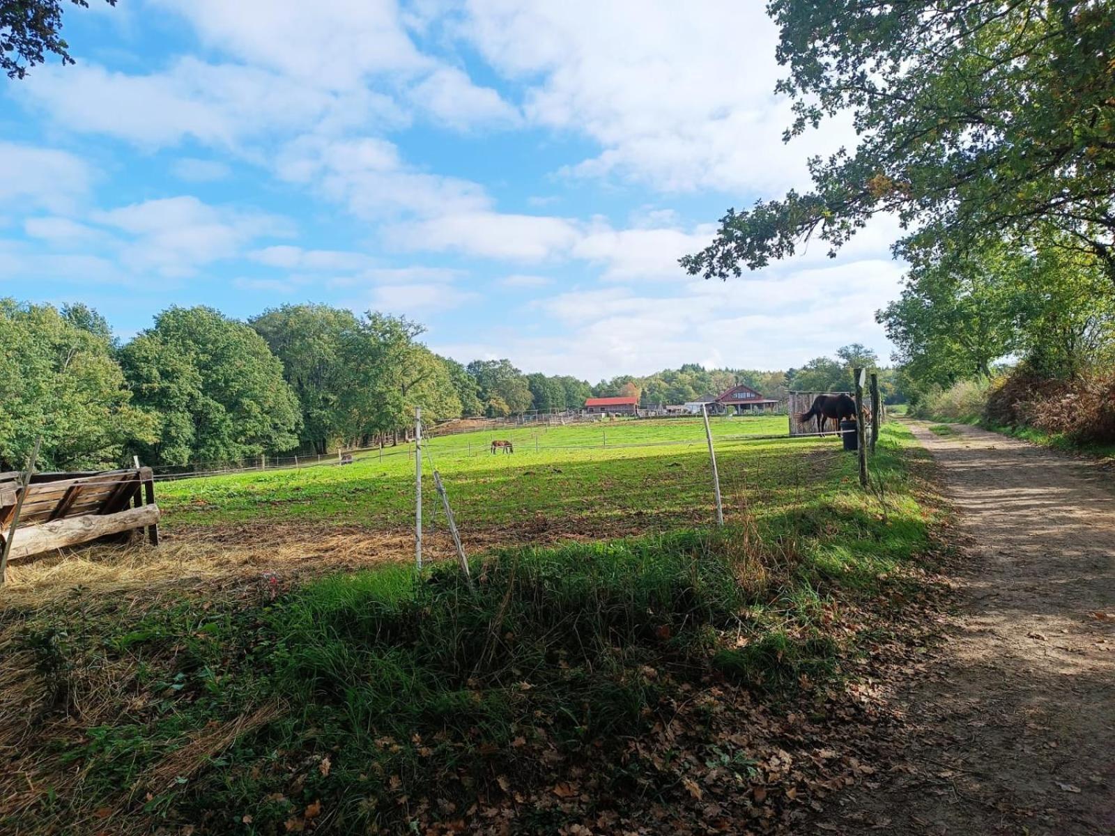 T3 Perigord Vert Cap nature Champniers-et-Reilhac Exterior foto