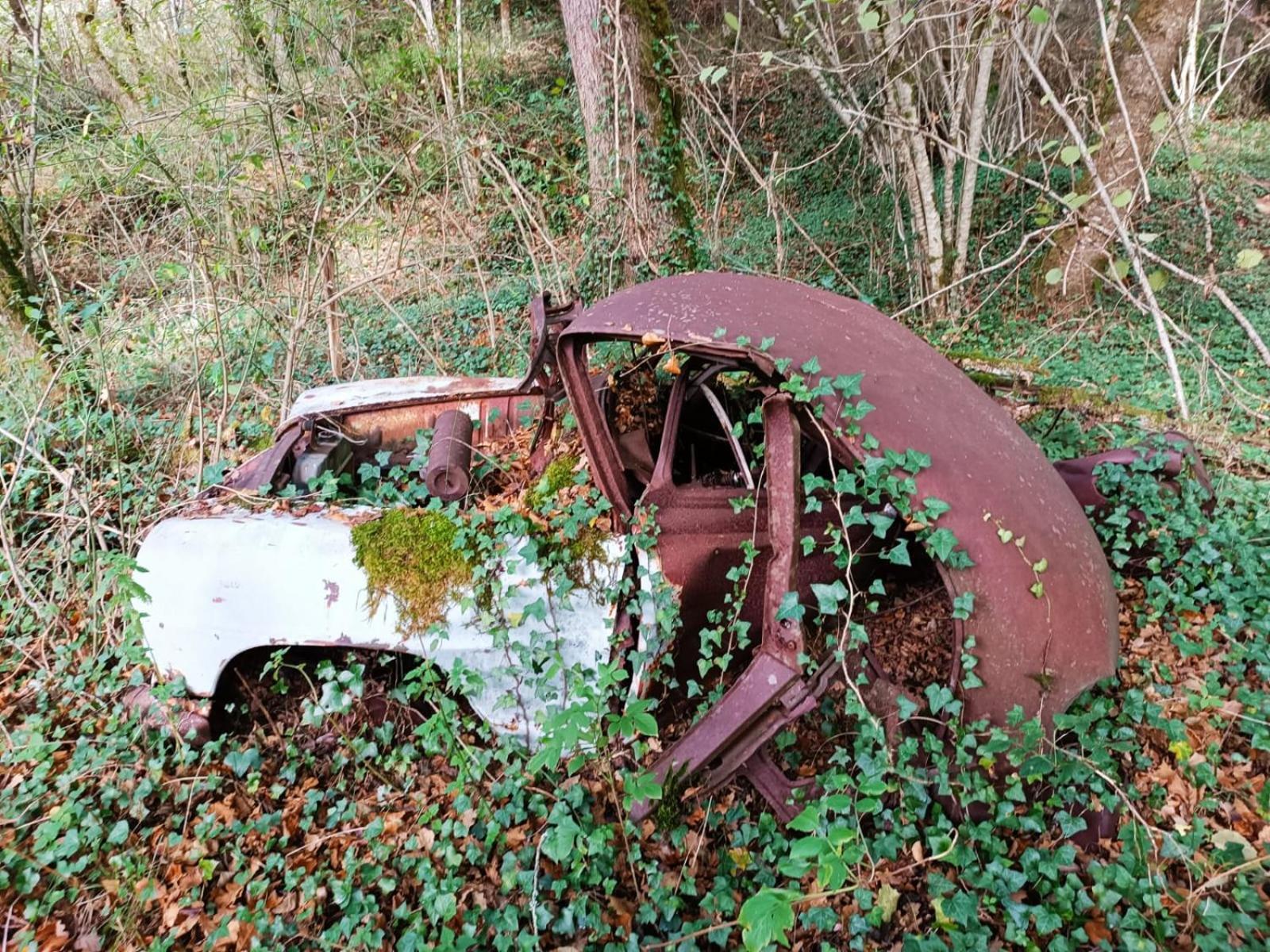 T3 Perigord Vert Cap nature Champniers-et-Reilhac Exterior foto